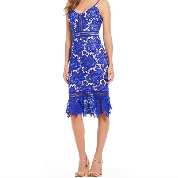 gianni bini camilla lace dress